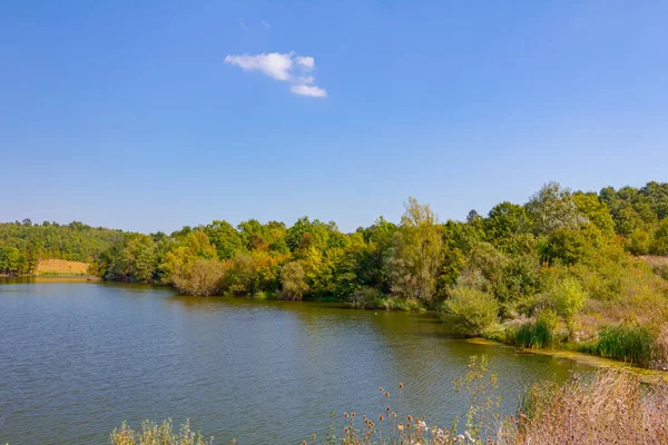 Beautiful Scene Colorful Forest Hilly Landscape Lake — Φωτογραφία Αρχείου