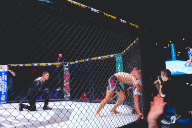 İki güçlü kaslı profesyonel MMA dövüşçüsü, birbirlerine kenetlenmişler, sekizgen katta parterre güreşiyorlar..