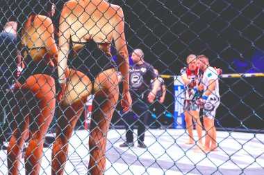 Ringin köşesinde duran çekici kızlar bikini giymiş ve arkadan poz vermişler. MMA yarışmasında zafer ilan etmenin atmosferini güzelleştiriyorlar..