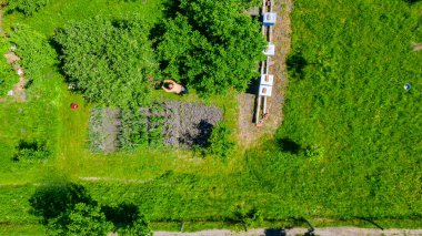 Bahçesinde çimen keserken bahçıvanın üst manzarası, meyve ağaçları arasında meyve bahçesi, motorlu çim biçme makinesi. 