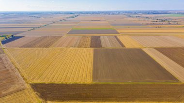Tarımsal tarlalarda, hasattan sonra, boş ekilmiş araziler. 