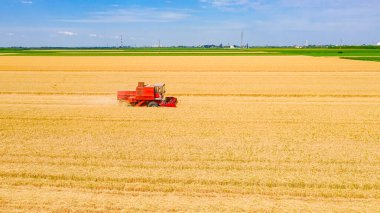 Tarımın havadan görünüşü, eski kırmızı hasat makinesinin tarım arazilerindeki olgun buğdayları kesip biçmesi gibi..