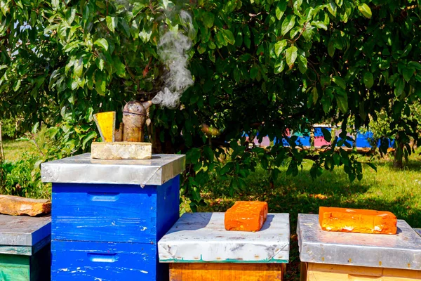 Beekeeper Smoker Placed Beehive Summer Time Orchard Apiary Bee Farm — Stock Photo, Image