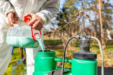 Çiftçi, meyve ağaçlarını mantar veya haşarat hastalıklarından korumak için meyve suyu püskürtmek için plastik sırt çantasındaki böcek ilacının su ve botanik çözeltilerini hazırlıyor..