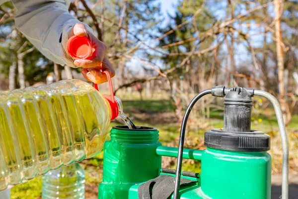 Çiftçi, meyve ağaçlarını mantar veya haşarat hastalıklarından korumak için meyve suyu püskürtmek için plastik sırt çantasındaki böcek ilacının su ve botanik çözeltilerini hazırlıyor..