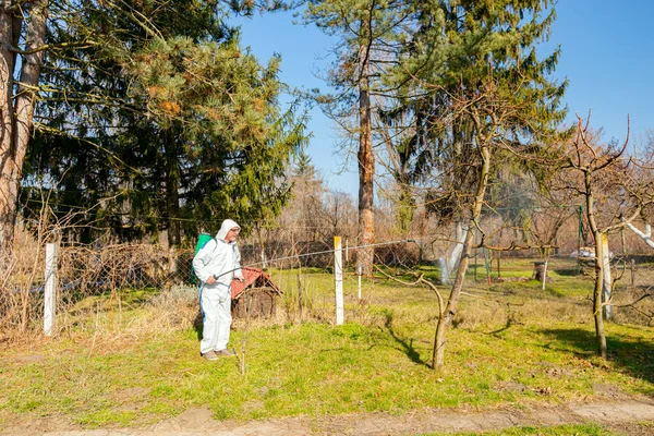 Koruyucu giysiler içindeki çiftçi meyve ağaçlarını uzun spreyle mantar hastalıklarından veya bahar başında haşaratlardan korumak için ilaçlıyor..