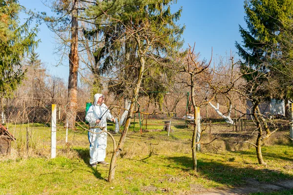Koruyucu giysiler içindeki çiftçi meyve ağaçlarını uzun spreyle mantar hastalıklarından veya bahar başında haşaratlardan korumak için ilaçlıyor..