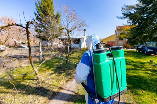 Baharın ilk zamanlarında meyve ağaçlarını mantar hastalığından ya da haşaratlardan korumak için meyve suyu sıkan koruyucu elbiseli çiftçiyi arkadan vurdular..