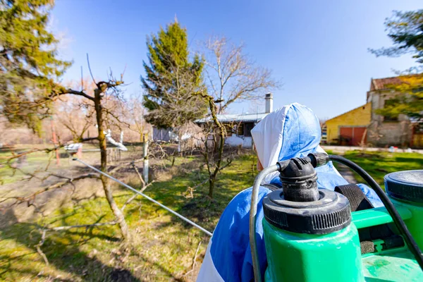 Baharın ilk zamanlarında meyve ağaçlarını mantar hastalığından ya da haşaratlardan korumak için meyve suyu sıkan koruyucu elbiseli çiftçiyi arkadan vurdular..
