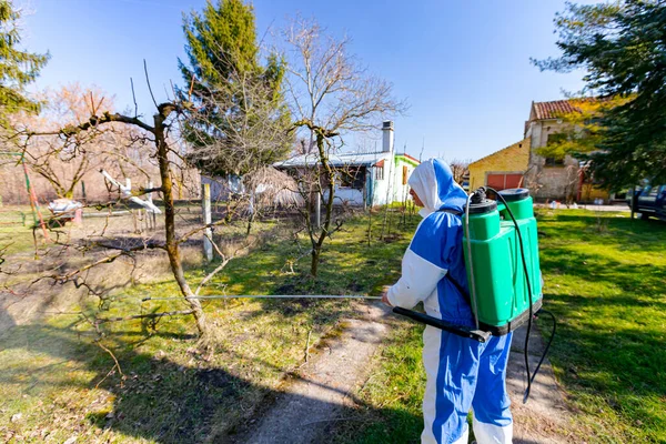 Baharın ilk zamanlarında meyve ağaçlarını mantar hastalığından ya da haşaratlardan korumak için meyve suyu sıkan koruyucu elbiseli çiftçiyi arkadan vurdular..