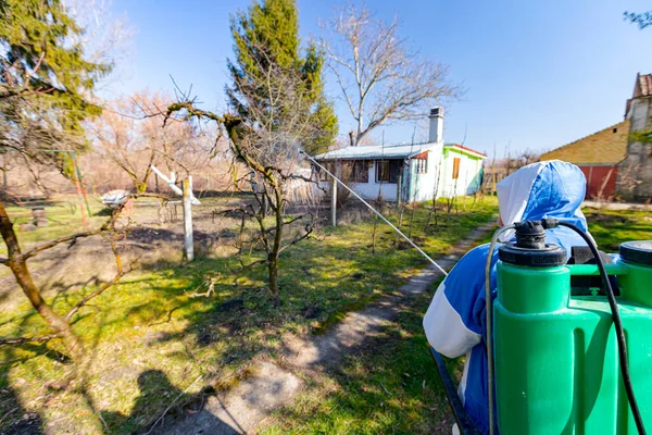 Baharın ilk zamanlarında meyve ağaçlarını mantar hastalığından ya da haşaratlardan korumak için meyve suyu sıkan koruyucu elbiseli çiftçiyi arkadan vurdular..