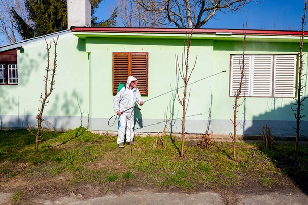 Koruyucu giysiler içindeki çiftçi meyve ağaçlarını uzun spreyle mantar hastalıklarından veya bahar başında haşaratlardan korumak için ilaçlıyor..