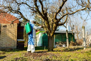 Koruyucu giysiler içindeki çiftçi meyve ağaçlarını uzun spreyle mantar hastalıklarından veya bahar başında haşaratlardan korumak için ilaçlıyor..