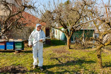 Koruyucu giysiler içindeki çiftçi meyve ağaçlarına uzun spreyler sıkarak onları mantar hastalıklarından ya da parazitlerden korur. İlkbaharın başlarında, arı kolonisi yakınlarında, arı kolonisi yakınlarında..