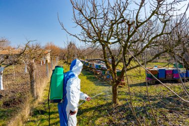 Koruyucu giysiler içindeki çiftçi meyve ağaçlarına uzun spreyler sıkarak onları mantar hastalıklarından ya da parazitlerden korur. İlkbaharın başlarında, arı kolonisi yakınlarında, arı kolonisi yakınlarında..