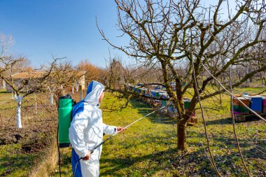 Koruyucu giysiler içindeki çiftçi meyve ağaçlarına uzun spreyler sıkarak onları mantar hastalıklarından ya da parazitlerden korur. İlkbaharın başlarında, arı kolonisi yakınlarında, arı kolonisi yakınlarında..