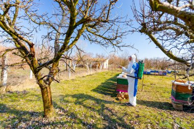 Koruyucu giysiler içindeki çiftçi meyve ağaçlarına uzun spreyler sıkarak onları mantar hastalıklarından ya da parazitlerden korur. İlkbaharın başlarında, arı kolonisi yakınlarında, arı kolonisi yakınlarında..