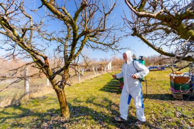 Koruyucu giysiler içindeki çiftçi meyve ağaçlarına uzun spreyler sıkarak onları mantar hastalıklarından ya da parazitlerden korur. İlkbaharın başlarında, arı kolonisi yakınlarında, arı kolonisi yakınlarında..