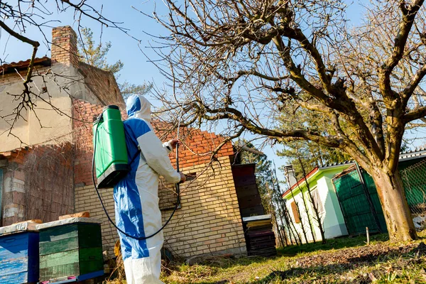 Jordbrukare Skyddskläder Sprutar Fruktträd Fruktträdgården Med Hjälp Lång Spruta För — Stockfoto