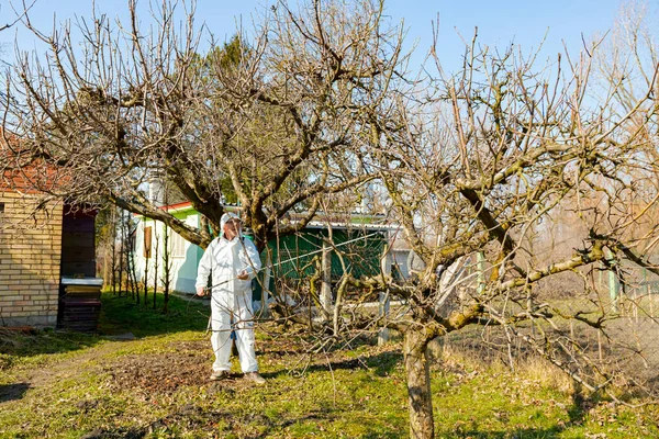 Farmer in protective clothing sprays fruit trees in orchard using long sprayer to protect them with chemicals from fungal disease or vermin at early springtime.