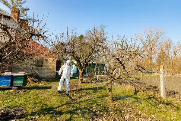 Koruyucu Giysiler Içindeki Çiftçi Meyve Ağaçlarına Uzun Spreyler Sıkarak Onları — Stok fotoğraf