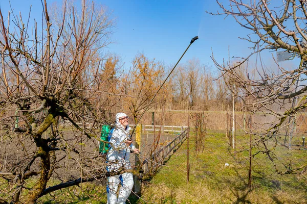 Védőruhás Mezőgazdasági Termelő Gyümölcsfákat Permetez Gyümölcsöskertben Hosszú Permetezőgépet Használva Hogy — Stock Fotó