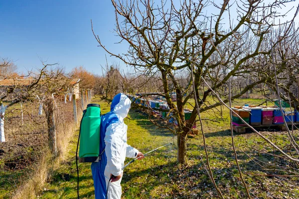 Koruyucu giysiler içindeki çiftçi meyve ağaçlarına uzun spreyler sıkarak onları mantar hastalıklarından ya da parazitlerden korur. İlkbaharın başlarında, arı kolonisi yakınlarında, arı kolonisi yakınlarında..