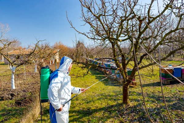 Koruyucu giysiler içindeki çiftçi meyve ağaçlarına uzun spreyler sıkarak onları mantar hastalıklarından ya da parazitlerden korur. İlkbaharın başlarında, arı kolonisi yakınlarında, arı kolonisi yakınlarında..