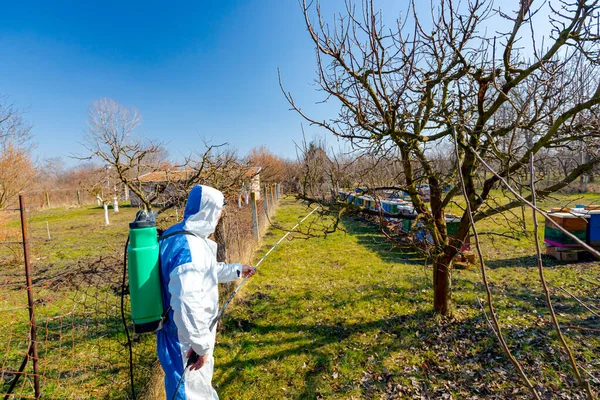 Jordbrukare Skyddskläder Sprutar Fruktträd Fruktträdgården Med Hjälp Lång Spruta För — Stockfoto