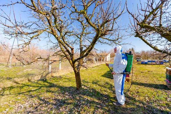 Αγρότης Προστατευτικό Ρουχισμό Ψεκάζει Οπωροφόρα Δέντρα Οπωρώνα Χρησιμοποιώντας Μακρύ Ψεκαστήρα — Φωτογραφία Αρχείου