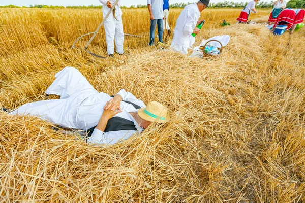 Cosechadora Agricultor Senior Está Acostado Heno Fresco Segado Descansando Antes — Foto de Stock