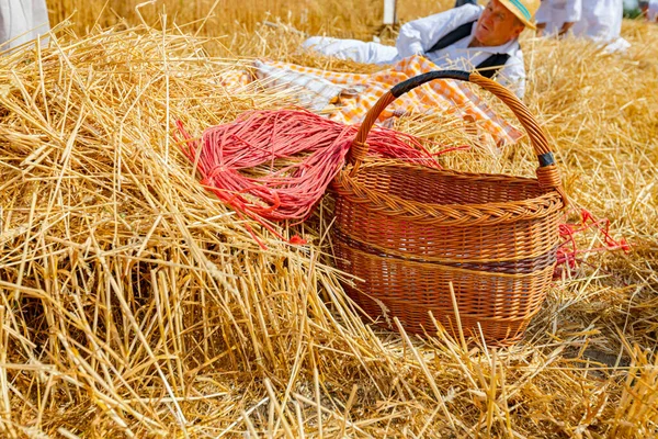 朝食を提供した後 草の上に空のウィッカーバスケットとロープ 人々は収穫の準備をしている — ストック写真