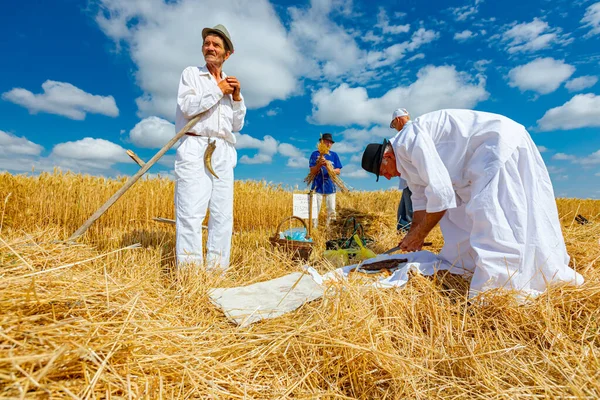 Muzlja Vojvodina Serbia Julio 2021 Xxxviii Tradicionalmente Cosecha Trigo —  Fotos de Stock