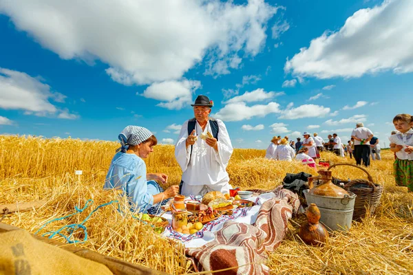 Muzlja Voivodina Serbia Iulie 2021 Xxxviii Mod Tradițional Recolta Grâu — Fotografie, imagine de stoc