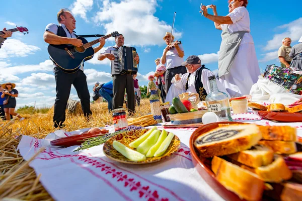 Muzlja Voyvodina Sırbistan Temmuz 2021 Xxviii Geleneksel Buğday Hasadı — Stok fotoğraf