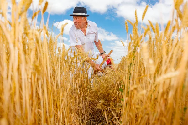 Muzlja, Voyvodina, Sırbistan, - 3 Temmuz 2021; XXVIII. Geleneksel buğday hasadı. Çiftçi buğdayı geleneksel kırsal alanda tırpanla elle biçiyor..