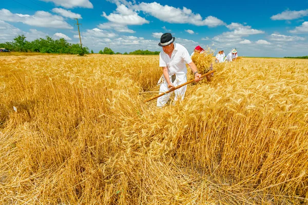 Muzlja Vojvodina Serbia July 2021 Xxxviii Traditionally Wheat Harvest Group — Stock Photo, Image