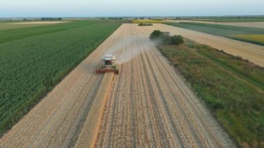Zirai hasat aracının hava görüntüsü, akşamları tarlalarda olgun buğday kesip biçerken birleşiyor..