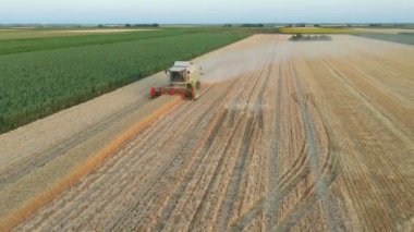 Hava kulesi geriye doğru hareket ediyor, tarımsal biçerdöveri görüyor, tarlalarda olgun buğday kesip biçerken birleşiyor..