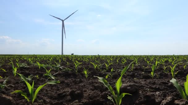 Low Angle View Large Wind Power Turbine Standing Agricultural Field — Stockvideo