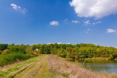 Beautiful scene of colorful forest on hilly landscape over lake.