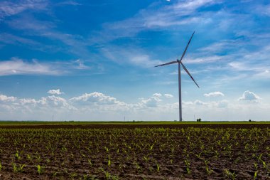 Geniş rüzgar enerjisi türbinine düşük açılı bakış açısı, sürdürülebilir kalkınma için temiz yenilenebilir enerji üreten ve dönen küçük mısırlar arasında tarım alanında durmaktadır..
