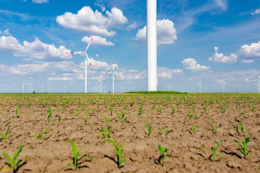 Birkaç büyük rüzgar enerjisi türbininin çiftliği tarım alanlarının arasında duruyor ve temiz yenilenebilir elektrik enerjisi üretiyorlar..