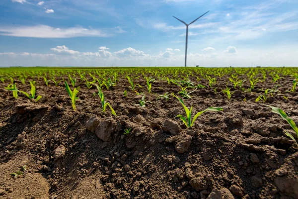 Low Angle View Large Wind Power Turbine Standing Agricultural Field — Foto de Stock