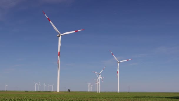 Lange Schaduw Onder Windgenerator Turbines Met Draaiende Bladen Propellers Hernieuwbare — Stockvideo
