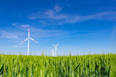 Tarımsal alanlar arasında duran az sayıdaki büyük rüzgar enerjisi türbinlerinin önündeki genç yeşil buğday temiz, yeşil yenilenebilir elektrik enerjisi üretiyor..