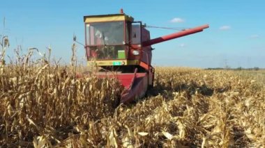 Zrenjanin, Voyvodina, Sırbistan - 10 Ekim 2020: Eski tarım hasat makinesine düşük açı, olgun mısırları kesip biçmek, tarlalarda mısır yetiştirmek. 