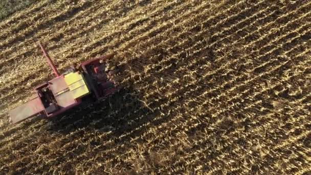 Top View Combine Harvester Machine Harvest Ripe Maizeabove Top View — Stockvideo
