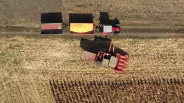 Tarımsal hasatçıların, tarım arazilerindeki olgun mısırları kesip biçmek gibi doli hareketleriyle en tepede..