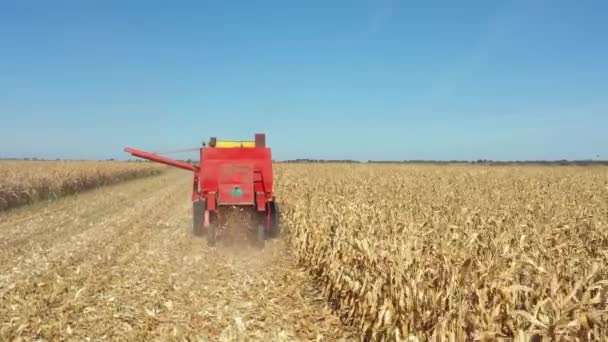 Dolly Move Forwards View Agricultural Harvester Cutting Harvesting Mature Corn — ストック動画